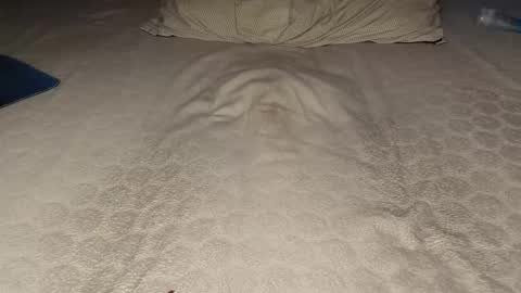 ilona4u online show from 03/23/26, 09:08