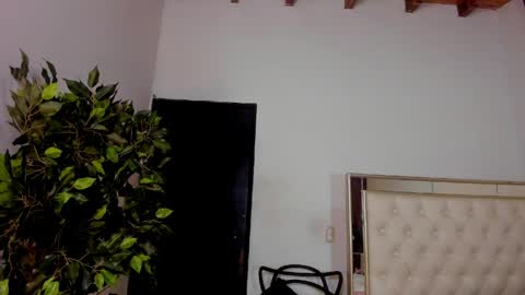 FELIX online show from 05/01/26, 11:48