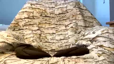 Snapshot of imaginaryvoyage chatting on 12/16/25, 04:23 thanks for visiting online show from 12/16/25, 04:23