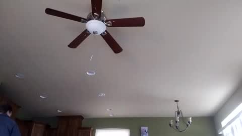 Iminyourroom online show from 01/31/25, 08:22