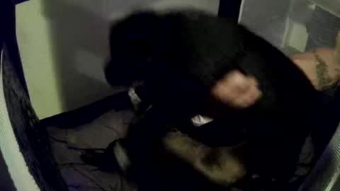 imtru online show from 02/14/25, 04:04