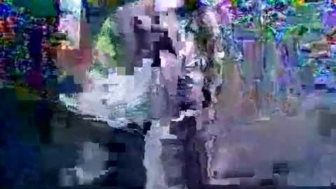 in201943 online show from 03/06/26, 08:33