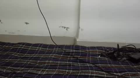 jully online show from 02/10/26, 05:50