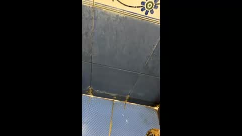 Snapshot of indianboy8940 chatting on 04/03/26, 11:19 Indianboy online show from 04/03/26, 11:19