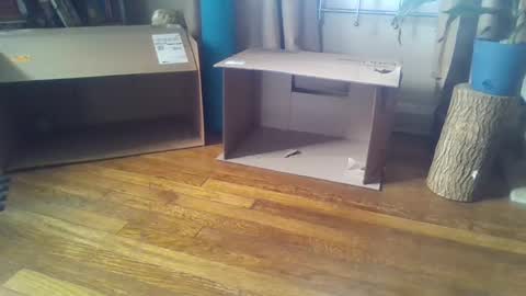 indigo_scorpio online show from 02/07/25, 05:51