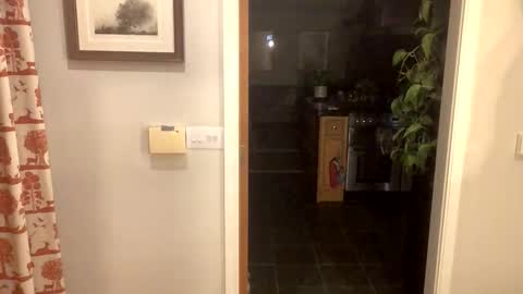 inkpiggy online show from 02/20/26, 12:51