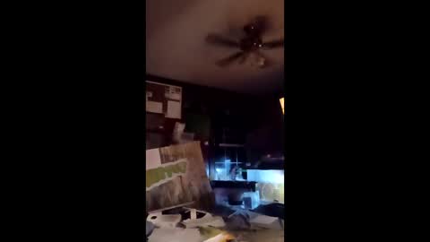 inmecum online show from 03/20/26, 12:59