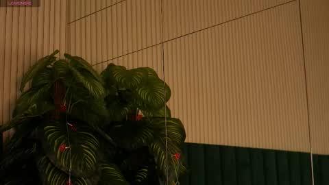 Maria online show from 10/31/25, 12:55