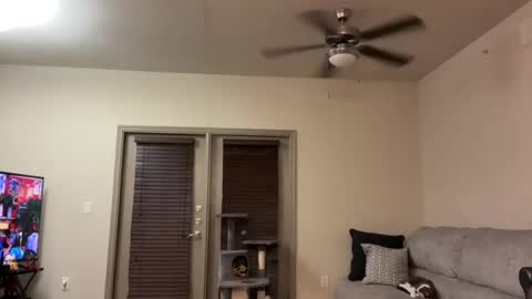 irissweets online show from 03/12/25, 04:41