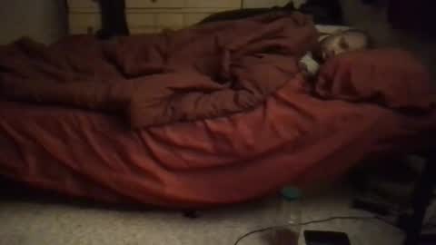 SexEngine88 online show from 02/02/26, 12:42