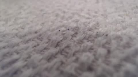 ironman383838 online show from 10/20/25, 09:59