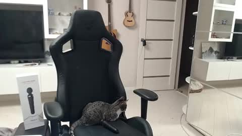 Snapshot of irwi_tomboy chatting on 12/26/24, 11:24 Irwi Tomboy online show from 12/26/24, 11:24