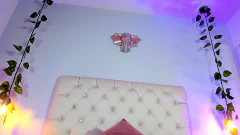   online show from 11/21/25, 08:29