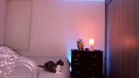 Snapshot of isabelprietoo chatting on 07/17/26, 01:23 Isa online show from 07/17/26, 01:23