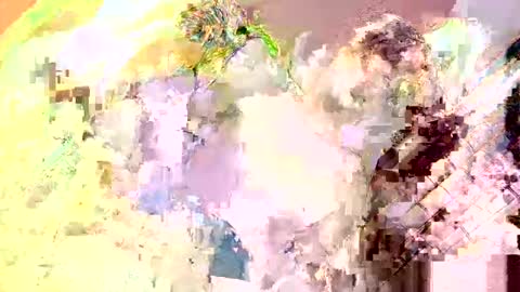 Nathaniel online show from 05/13/26, 04:04