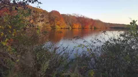 Jim online show from 02/23/25, 07:33