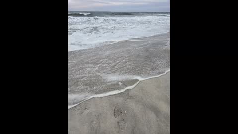 Jim online show from 03/02/25, 06:19