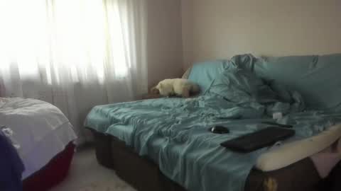 Issabelle online show from 10/20/25, 05:08