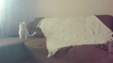 Issabelle online show from 10/30/25, 07:10