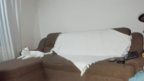 Issabelle online show from 11/06/25, 06:25