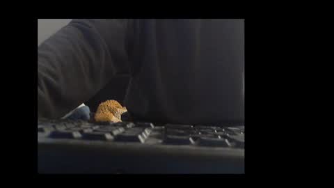 ital25usa online show from 01/10/26, 10:06