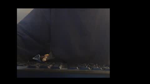 ital25usa online show from 01/11/26, 02:11