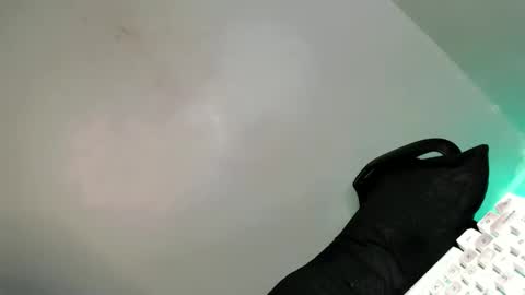 Bella online show from 02/21/25, 07:56