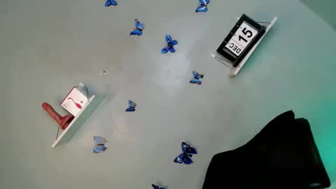 Bella online show from 12/15/25, 05:34