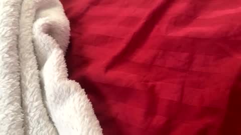 Snapshot of itsjayyourbae chatting on 11/22/25, 02:05 itsjayyourbae online show from 11/22/25, 02:05