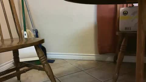 itsjustmehere online show from 05/03/26, 11:27