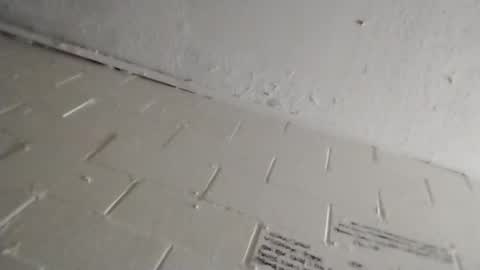 ittybitty0075 online show from 03/11/26, 04:46