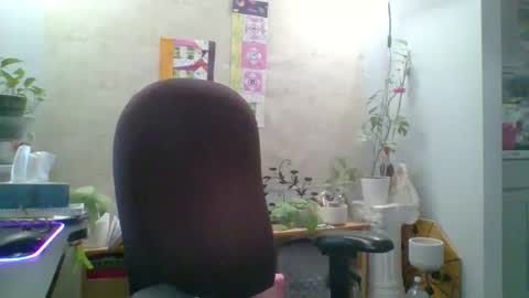 Snapshot of ivyjane3522 chatting on 04/25/26, 11:46 ivyjane3522 online show from 04/25/26, 11:46