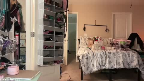 Ivy Minxxx online show from 01/11/25, 03:55