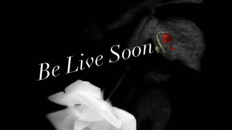 Ivy Rosie online show from 04/15/26, 09:37