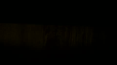 Mugen online show from 02/17/26, 08:33