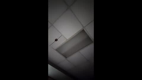 wonderbread online show from 01/14/26, 11:49