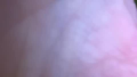 jackjackerman online show from 05/16/26, 02:49