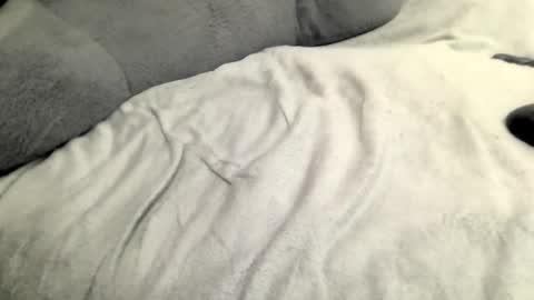 jack online show from 02/23/25, 05:45