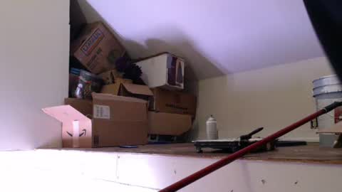 funtimes49203 online show from 01/18/25, 01:29