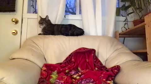 Jacob online show from 02/22/26, 10:52