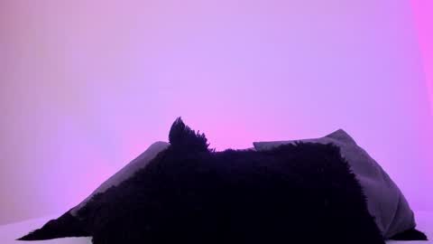 Mady online show from 12/20/24, 01:14