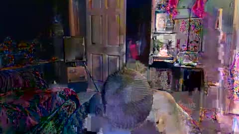 Jade online show from 02/16/26, 10:50