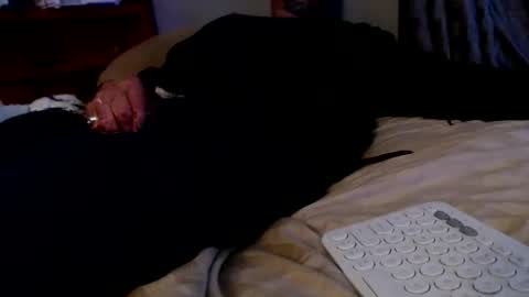 what you in too online show from 12/02/25, 08:19