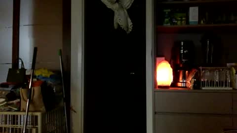 jamesmo820913 online show from 10/25/25, 03:58