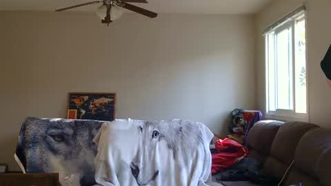 Snapshot of jameswolf777 chatting on 09/13/25, 11:48 jameswolf777 online show from 09/13/25, 11:48