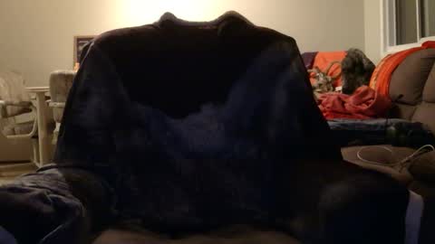 jameswolf777 online show from 11/12/25, 08:48