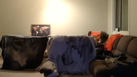 jameswolf777 online show from 12/22/25, 06:54