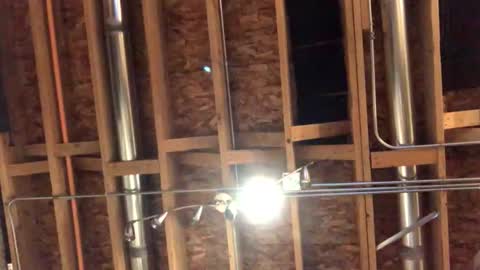 jamie19905 online show from 10/29/25, 02:25