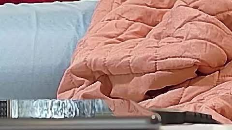 Bootyshows online show from 09/15/25, 12:38