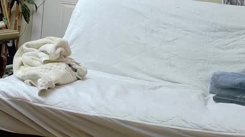 Bootyshows online show from 09/17/25, 12:29